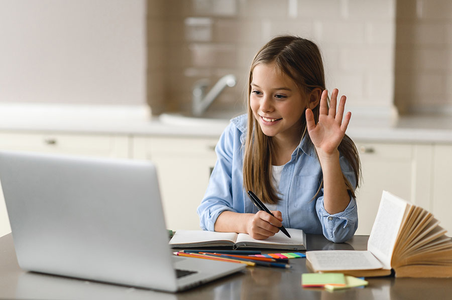 Online lesson, distance learning, homeschooling